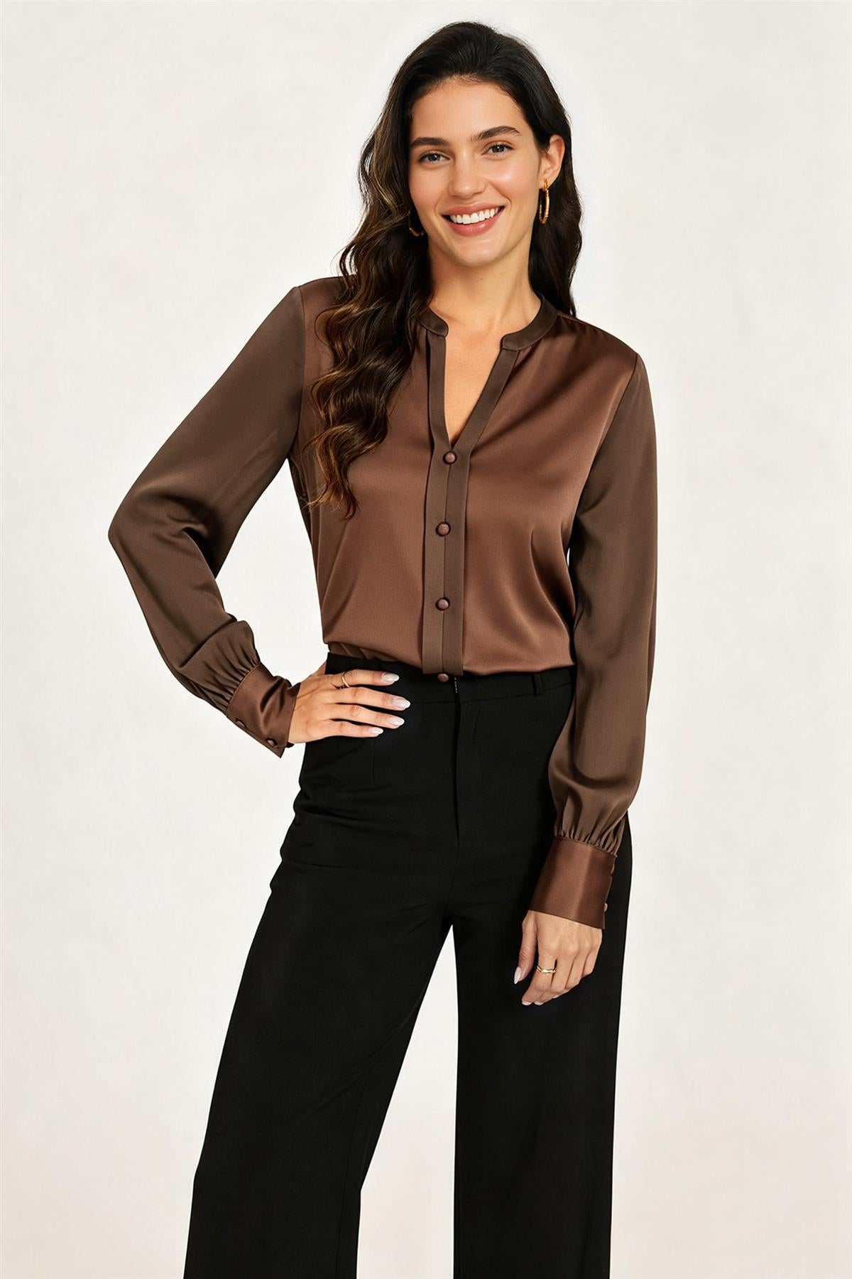 Long Sheer Sleeve Satin Notch Neck Blouse Top In Brown