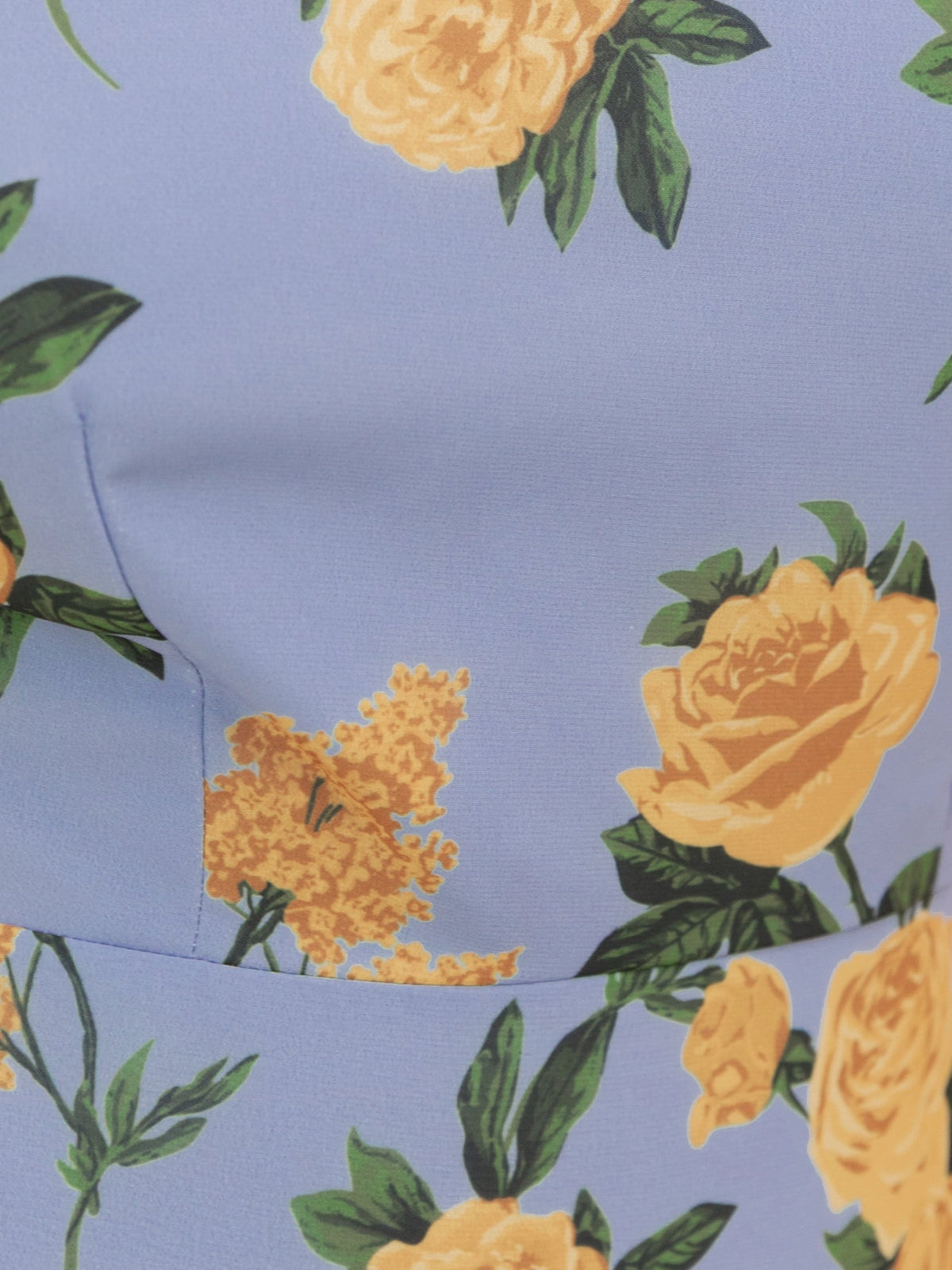 Anaya With Love Halterneck Blue Floral Ruffle Maxi Dress